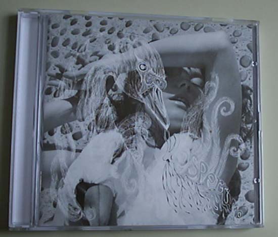 BJORK - Vespertine Record