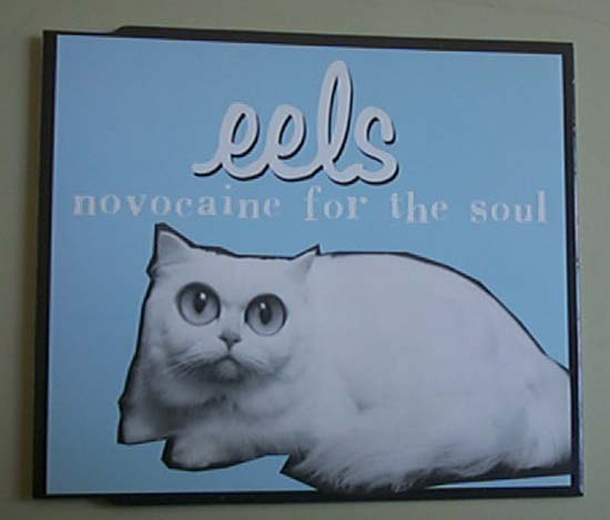 EELS - Novocaine For The Soul Album