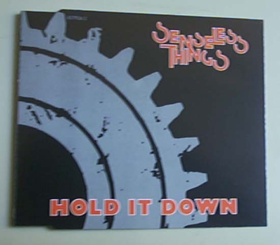 SENSELESS THINGS - Hold It Down Record