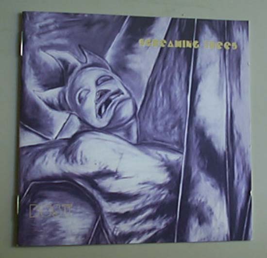 SCREAMING TREES - Dust LP
