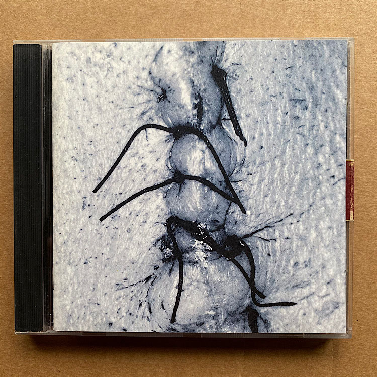 Scheer - Infliction - Uk