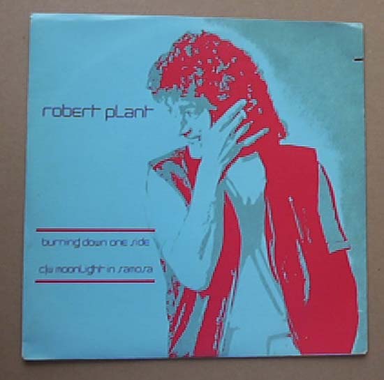 ROBERT PLANT - Burning Down One Side Album