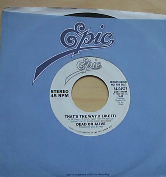 Dead Or Alive - That's The Way (i Like It - Usa)