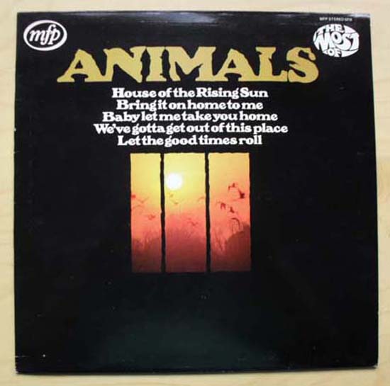 ANIMALS - MOST OF