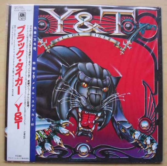 Y And T Black+Tiger LP