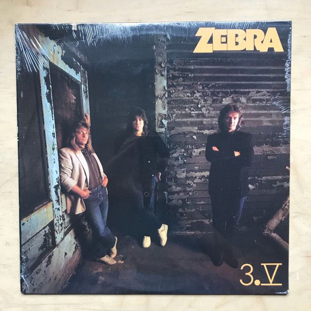 ZEBRA - 3.V