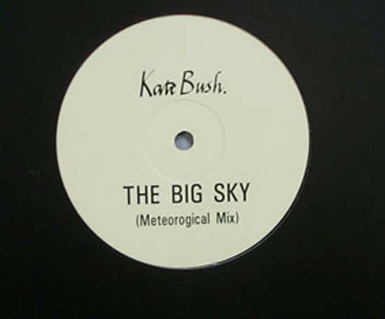 KATE BUSH - Big Sky