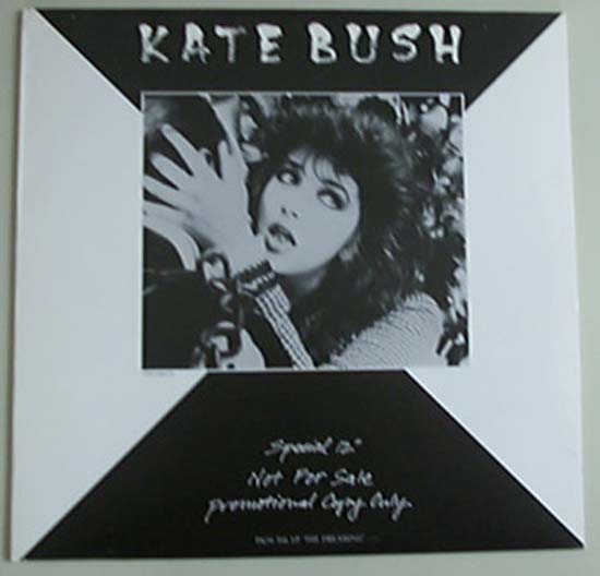 Bush, kate - Dreaming Sampler - Usa